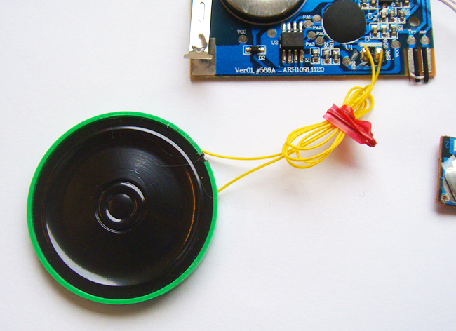 Hallmark Innovations Voice Recorder Card - Toy Speaker